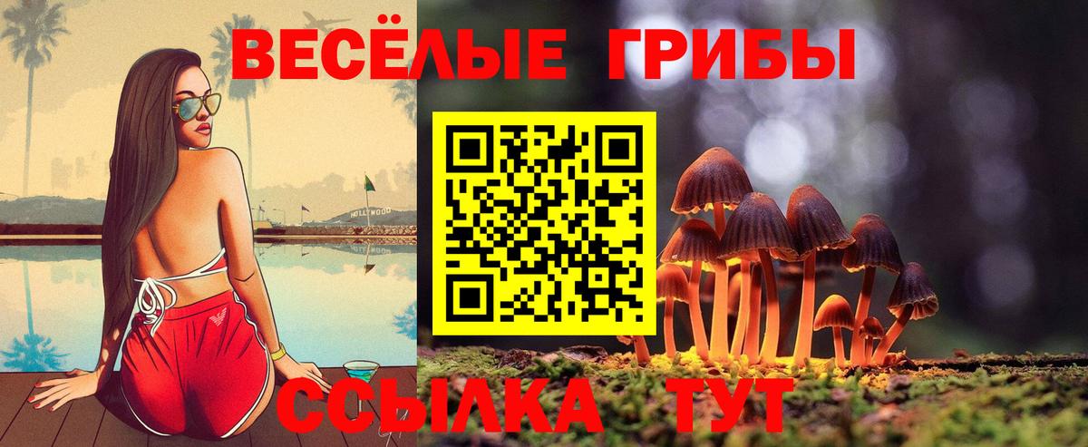 Галлюциногенные грибы мицелий  Вход с VPN  Псилоцибиновые грибы Psilocybe  Хасавюрт 